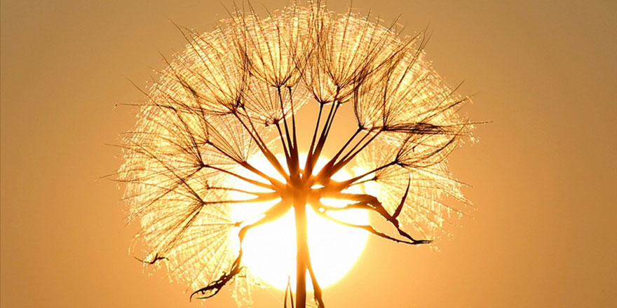 Türkiye sıcak hava dalgasının etkisine giriyor