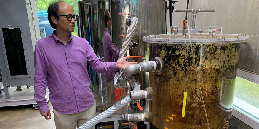 Çevreci tuvalet: Hem elektrik hem de dijital para veriyor