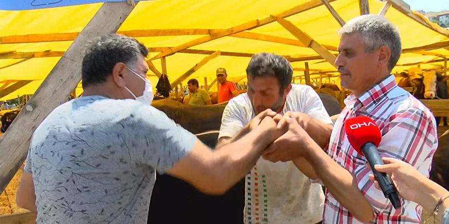 800 kilometre yol geldim tokalaşmadan kurban satamam