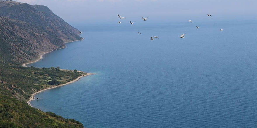 Deniz suyundaki tuzu yüzde 99,9 filtreleyebilen teknoloji geliştirildi