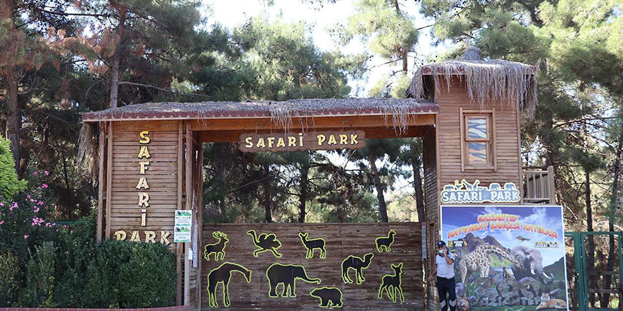 Türkiye'nin ilk ve tek Safari Parkı’na yoğun ilgi