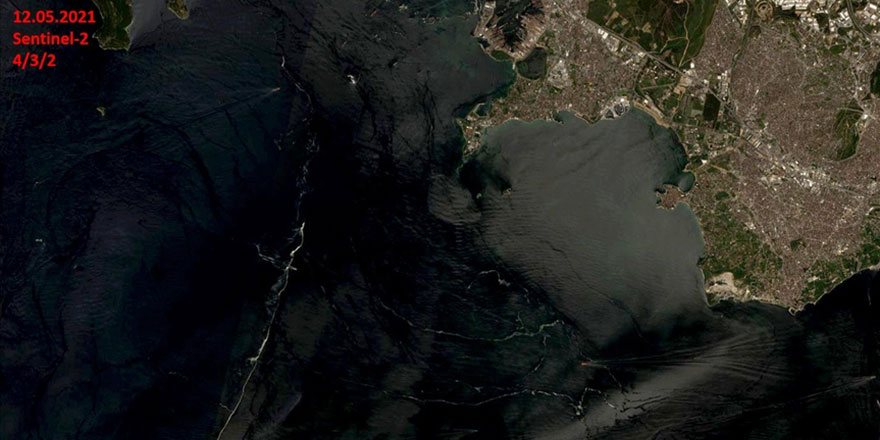 İstanbul'da bazı sahillerde müsilaj benzeri kirlilik görüldü