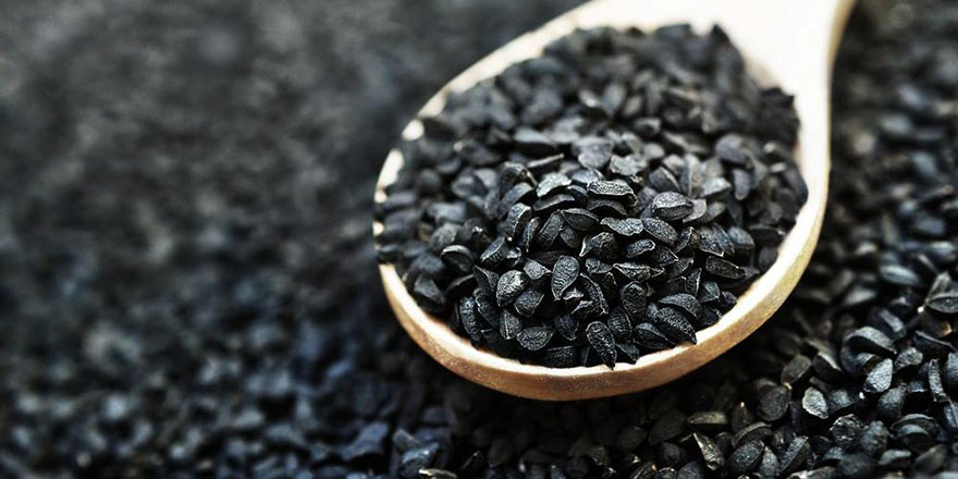 Prof. Dr. Ahmet Rasim Küçükusta: Alzheimer'in şifası çörek otunda