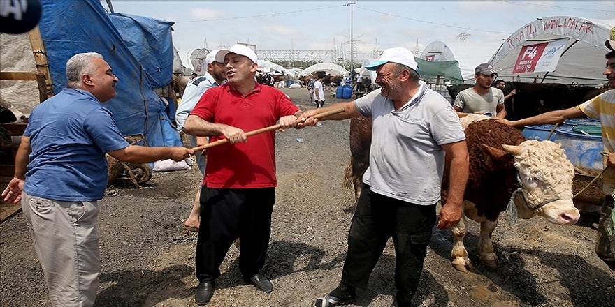 İstanbul'da kurban pazarlarındaki hareketlilik devam ediyor