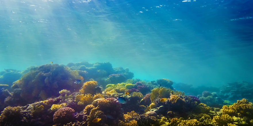 Çin ve Avustralya arasında UNESCO listesi tartışması