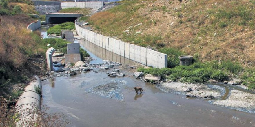 Dere değil çamur deryası! En acı gerçek