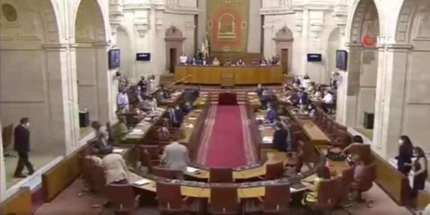 Endülüs Parlamentosu'na giren fare ortalığı ayağa kaldırdı