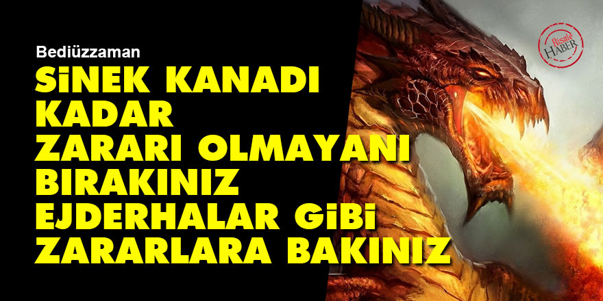 Bediüzzaman: Sinek kanadı kadar zararı olmayanı bırakınız, ejderhalar gibi zararlara bakınız