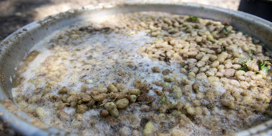 Dut pekmezi geleneksel yöntemlerle imece usulü üretiliyor