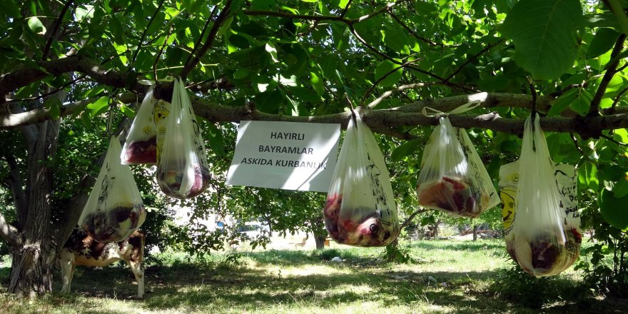 Askıda kurbanlık: İhtiyaç sahipleri için etleri bahçesindeki ağaca astı