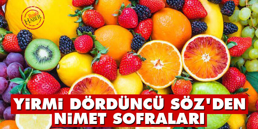 Yirmi Dördüncü Söz’den Nimet sofraları