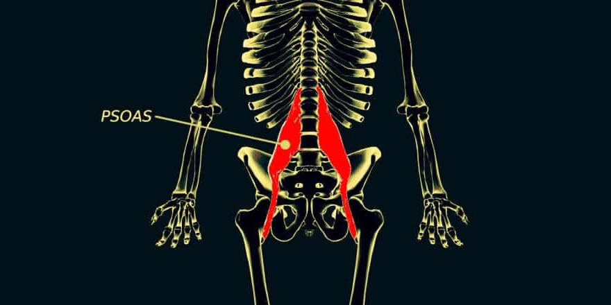Vücudumuzdaki psoas kası ruh halimizi etkiliyor