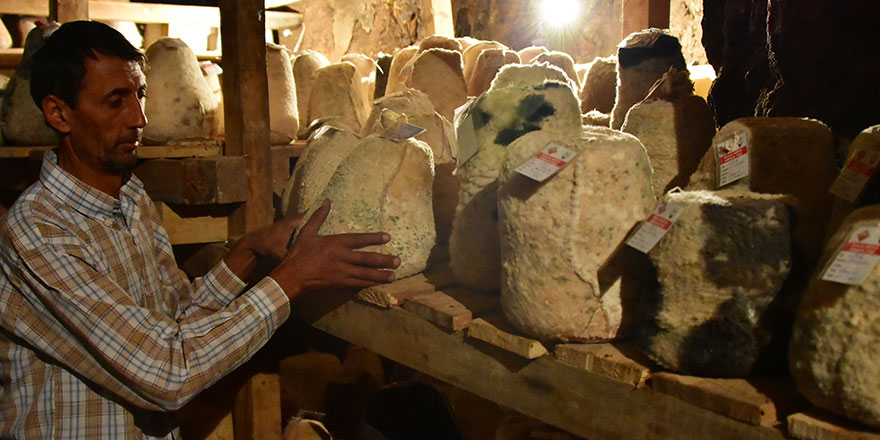 Bu peynir 36 metrede bekletiliyor