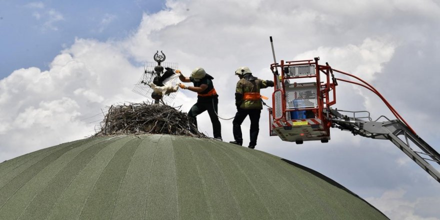 Bursa'da leylek yavrularına kubbe üstünde tedavi