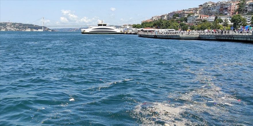 Üsküdar'da çöplerin oluşturduğu kirlilik kıyıya vurdu