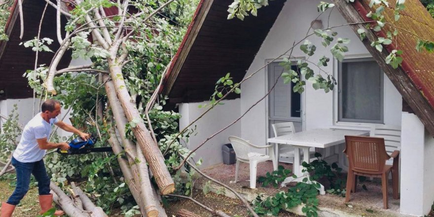 Sinop'ta şiddetli rüzgar: Ağaçlar devrildi