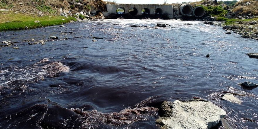 Çorlu Deresi simsiyah! Mahalleli cam, kapı açamıyor