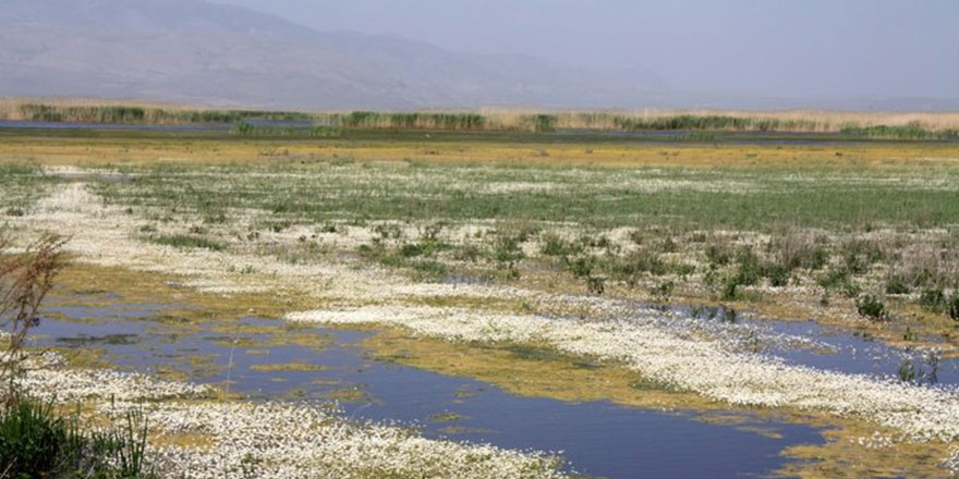 Eber Gölü pişmanlığı: Hiç bitmez, tükenmez sandık!