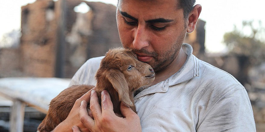Subhanallah! Alevlerin arasında doğan oğlak sevinci