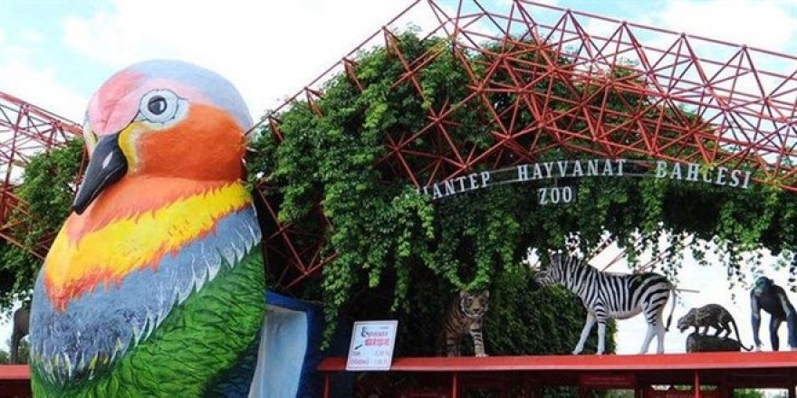 Türkiye'nin en büyük hayvanat bahçesi ziyarete kapatıldı