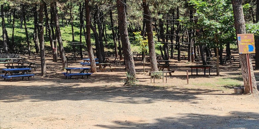 Yalova'da piknik ve mesire alanlarında ateş yakmak yasaklandı