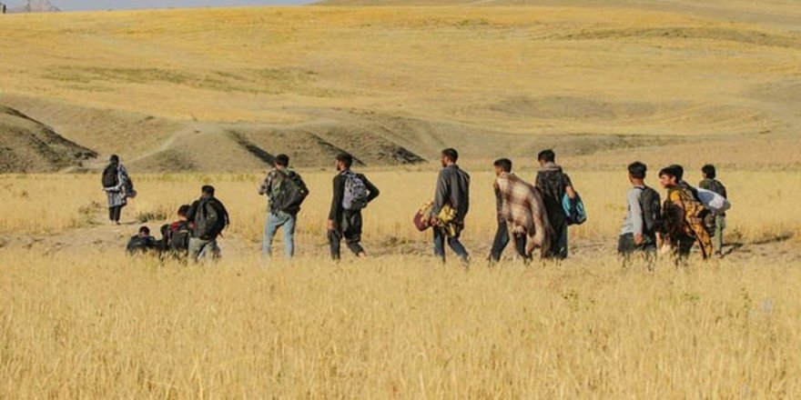 Uluslararası Göç Raporu yayınlandı: Göçmen sayısı 17 yılın en düşük seviyesinde