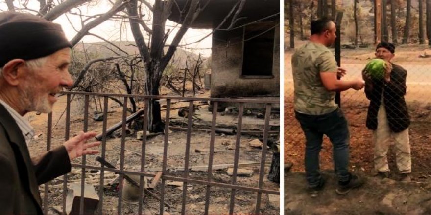 Yangından geriye sadece meyveleri kaldı, onları da orman işçilerine verdi