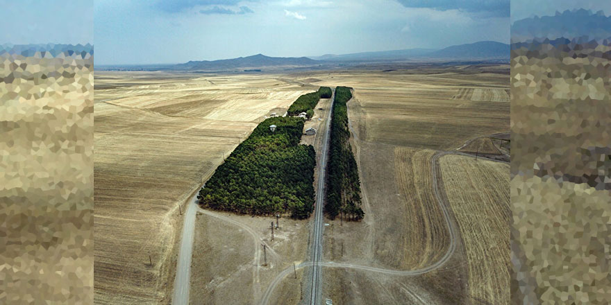 İsteyince oluyor: Bozkırın ortasındaki vaha