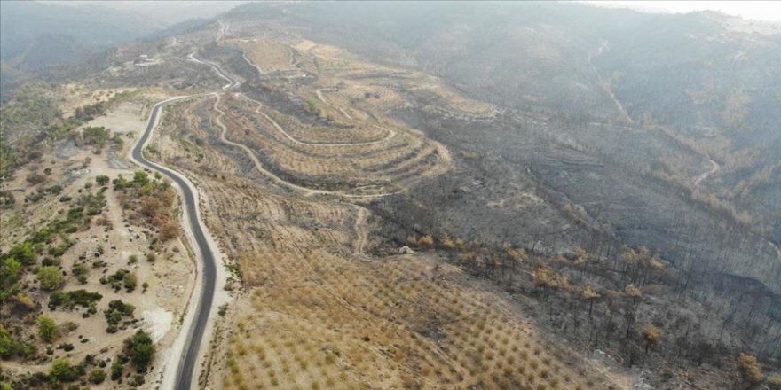 Manavgat'taki yangında zarar gören alanlar havadan görüntülendi