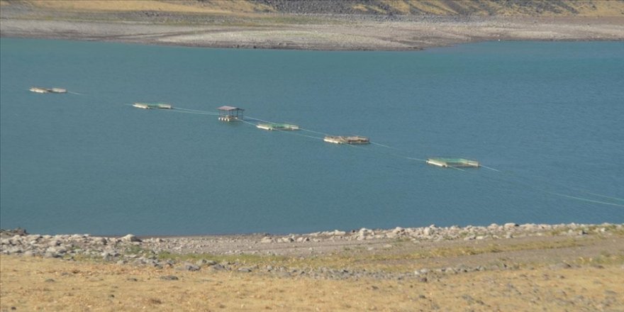 Muş Alparslan-1 Barajı'nın sularının çekilmesiyle eski yapılar ortaya çıktı