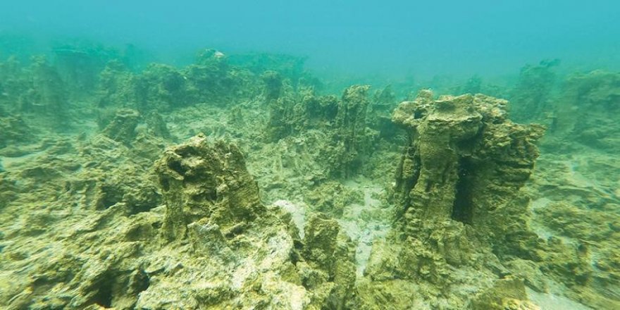 Dünyanın en büyük mikrobiyalitleri Van Gölü'nde