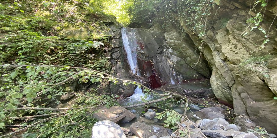 Ormanda geziye çıktı yeni bir şelale keşfetti