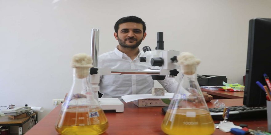 Araştırma görevlisinden, çimentosuz betonları bakteri yoluyla onaran buluş