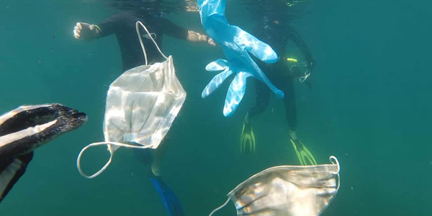 1,6 milyar maske okyanuslarda 'yüzüyor'