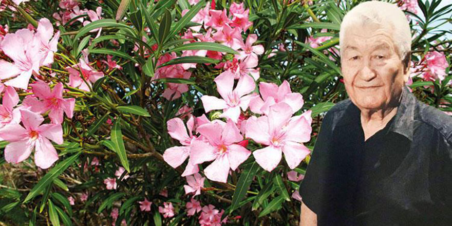 Kainat eczanesinden 'zakkum kansere şifa oluyor' demişti: Ziya Özel vefat etti