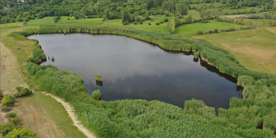Aras Dağları eteklerindeki vaha: Üçkaya Gölü