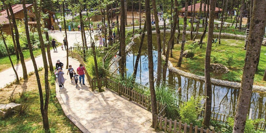 Ormanya’ya uluslararası ödül