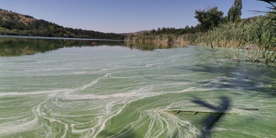 Eymir Gölü'nde müsilaja benzeyen kirlilik oluştu
