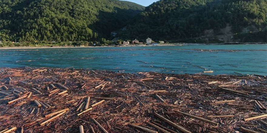 Karadeniz'de tomruk adacıkları oluştu