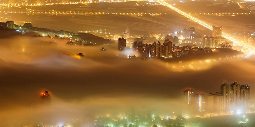 Bu görüntü nedeniyle böcekler yok oluyor