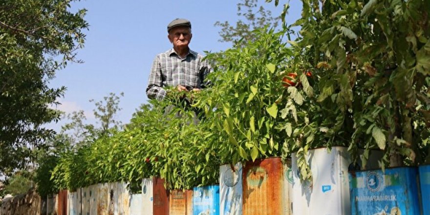 51 yıldır evinin ihtiyacı olan ürünleri tenekelerde yetiştiriyor