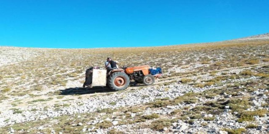 2 bin 500 rakımlı dağdan karın şehre zorlu yolculuğu