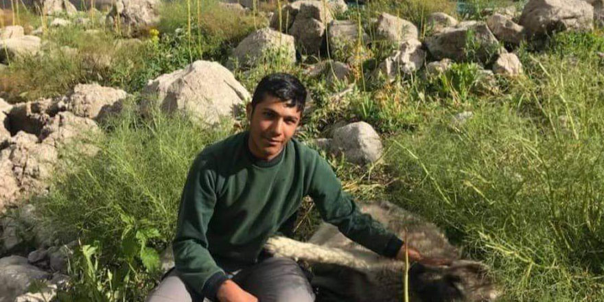 Koyunlara bakarken üniversiteye çalıştı Türkiye 654.’sü oldu tıp fakültesini kazandı