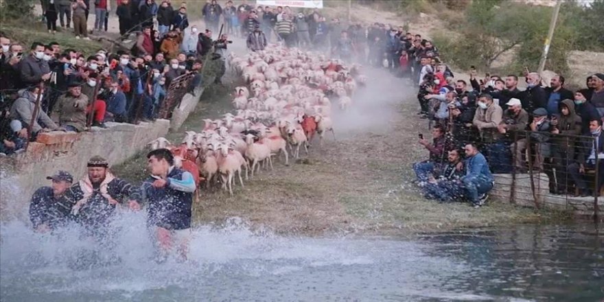750 yıllık 'sudan koyun geçirme' geleneği renkli görüntülere sahne oldu