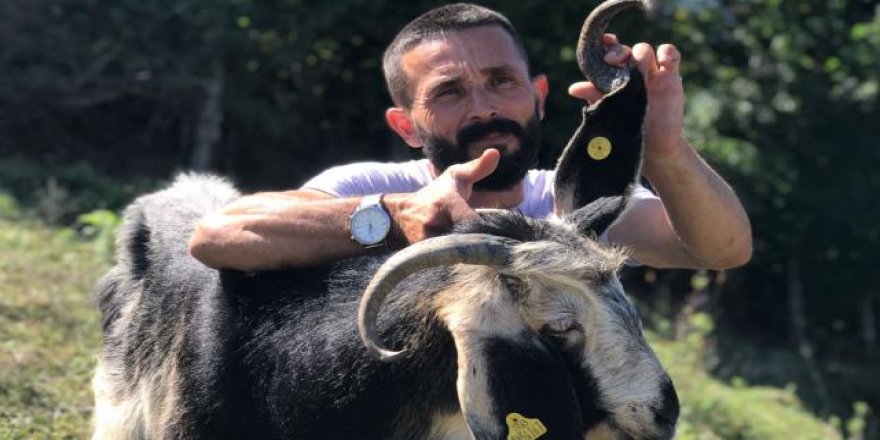 Çiftçinin, kulağında boynuz çıkan keçi yorumu: Allah'ın takdiri