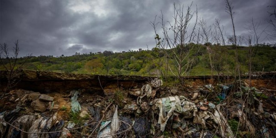 Dünyayı mahveden plastik problemine bakteriler çözüm olacak