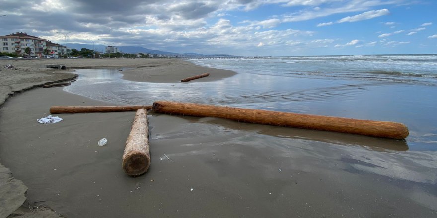 Sağanak sonrası odun ve kütükler kıyıya vurdu
