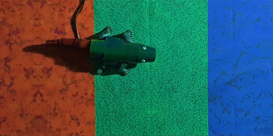 'İnsan saçından ince, bukalemun gibi renk değiştiren' yapay deri üretildi