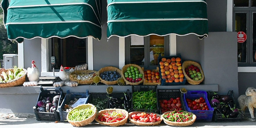 Tarım lisesinde doğal yöntemlerle 30 çeşit sebze ve meyve üretiyorlar