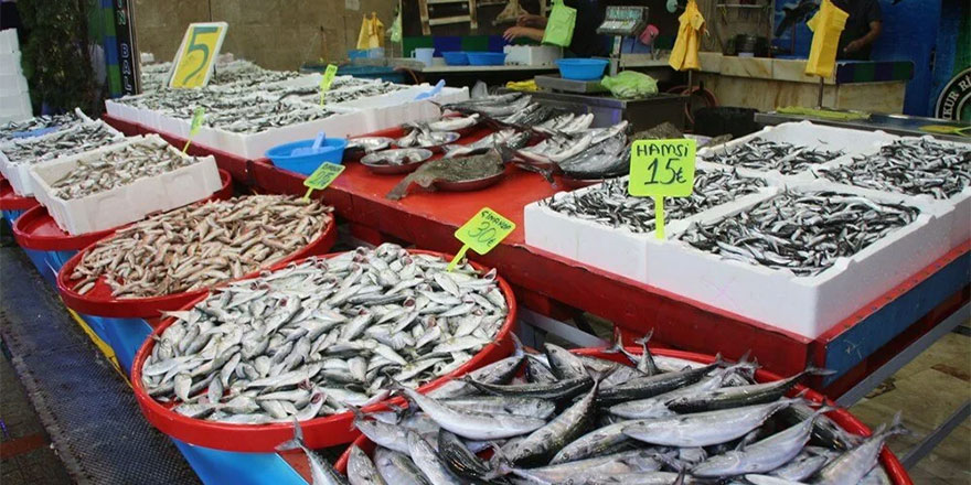Fırtına dindi, balık fiyatları düştü